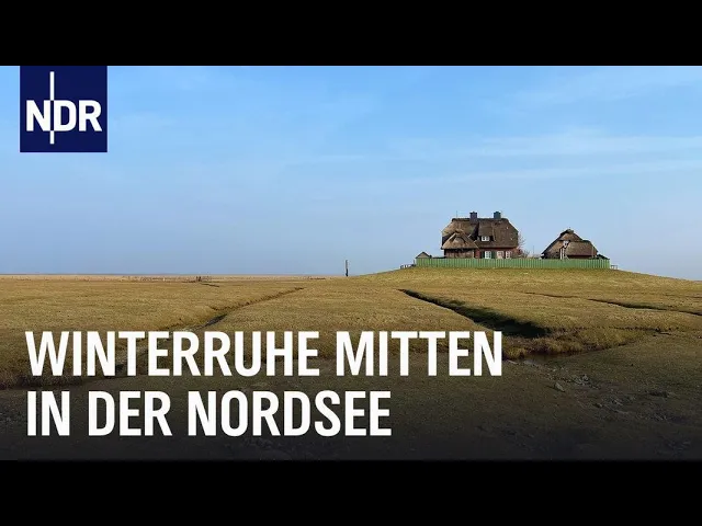 Thumbnail für YouTube-Video https://youtu.be/92F3bxx_afg