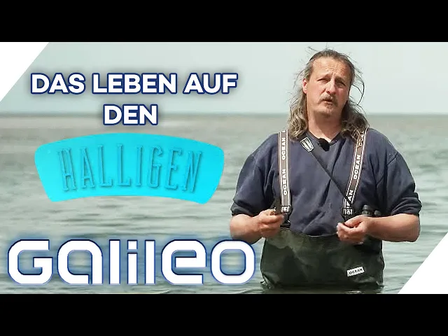 Thumbnail für YouTube-Video https://youtu.be/q9ruJxNxZXY
